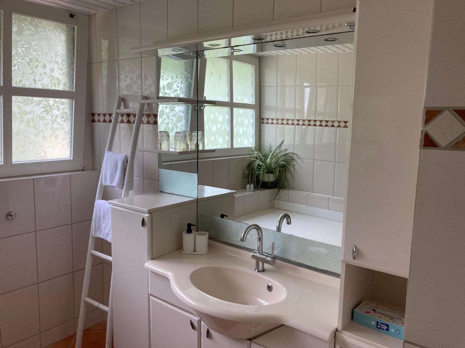 B&B Erve Moeskert Geesteren  ภายนอก รูปภาพ